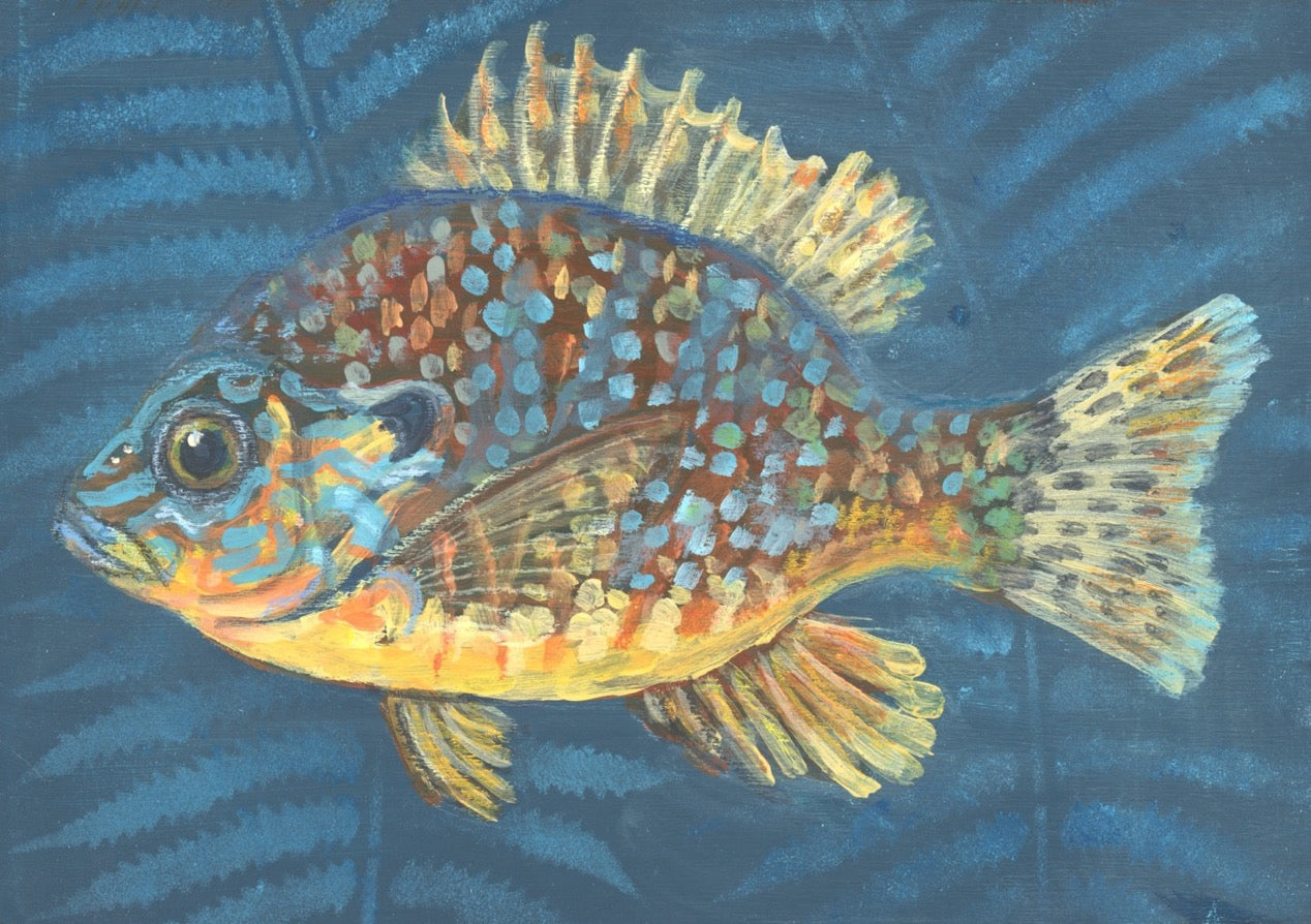 SUNFISH | 5X7 | ORIGINAL ACRYLIC PAINTING ON WOOD | Item number 23-03P