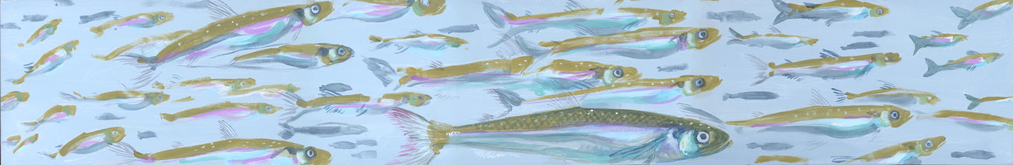 RAINBOW SMELT | 6x36 | ORIGINAL ACRYLIC PAINTING ON WOOD | Item number 23-38P