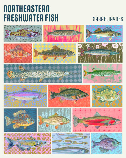 Northeastern Freshwater Fish Poster