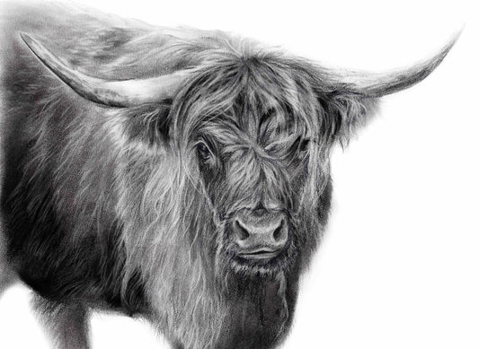 PRINT REPRODUCTION OF "VERMONT HIGHLAND" CHARCOAL