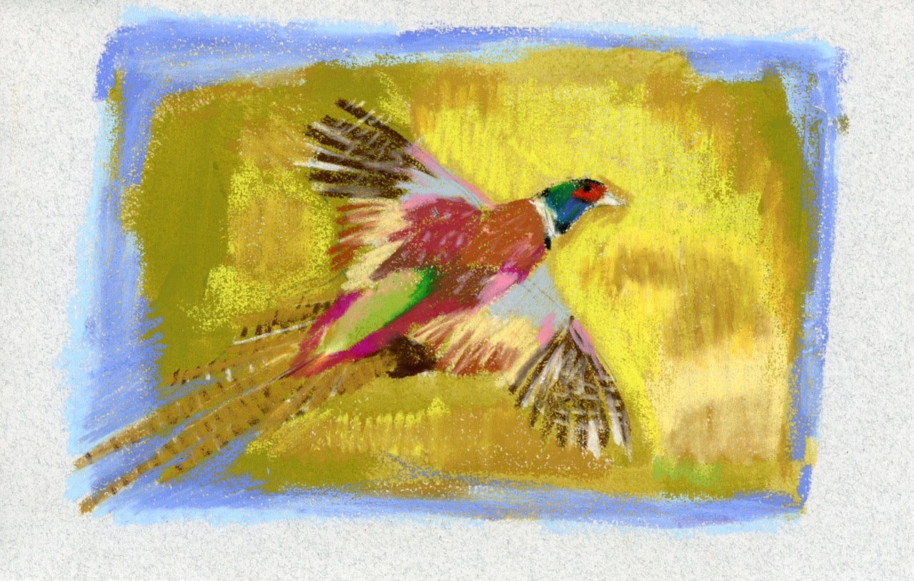 Original painting: small art , bird art, pheasant, cottage decor.