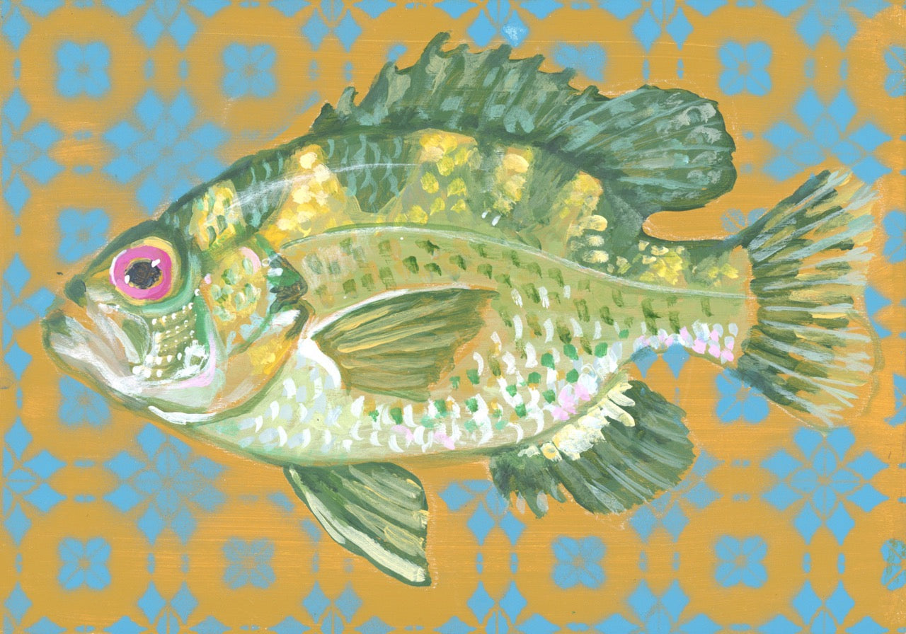 ROCK BASS | 5X7 | ORIGINAL ACRYLIC PAINTING ON WOOD | Item number 23-10P