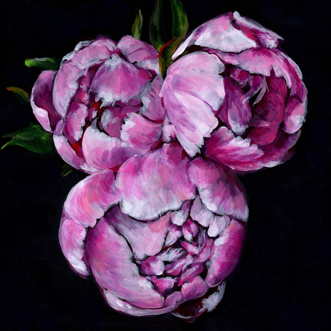 Peony Trilogy | 12x12 | ORIGINAL ACRYLIC PAINTING | Item number 21-8P