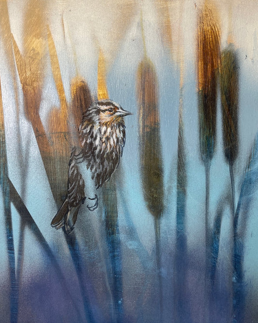 Female Red Wing  | 11x14 | ORIGINAL ACRYLIC PAINTING ON WOOD | 21-45P