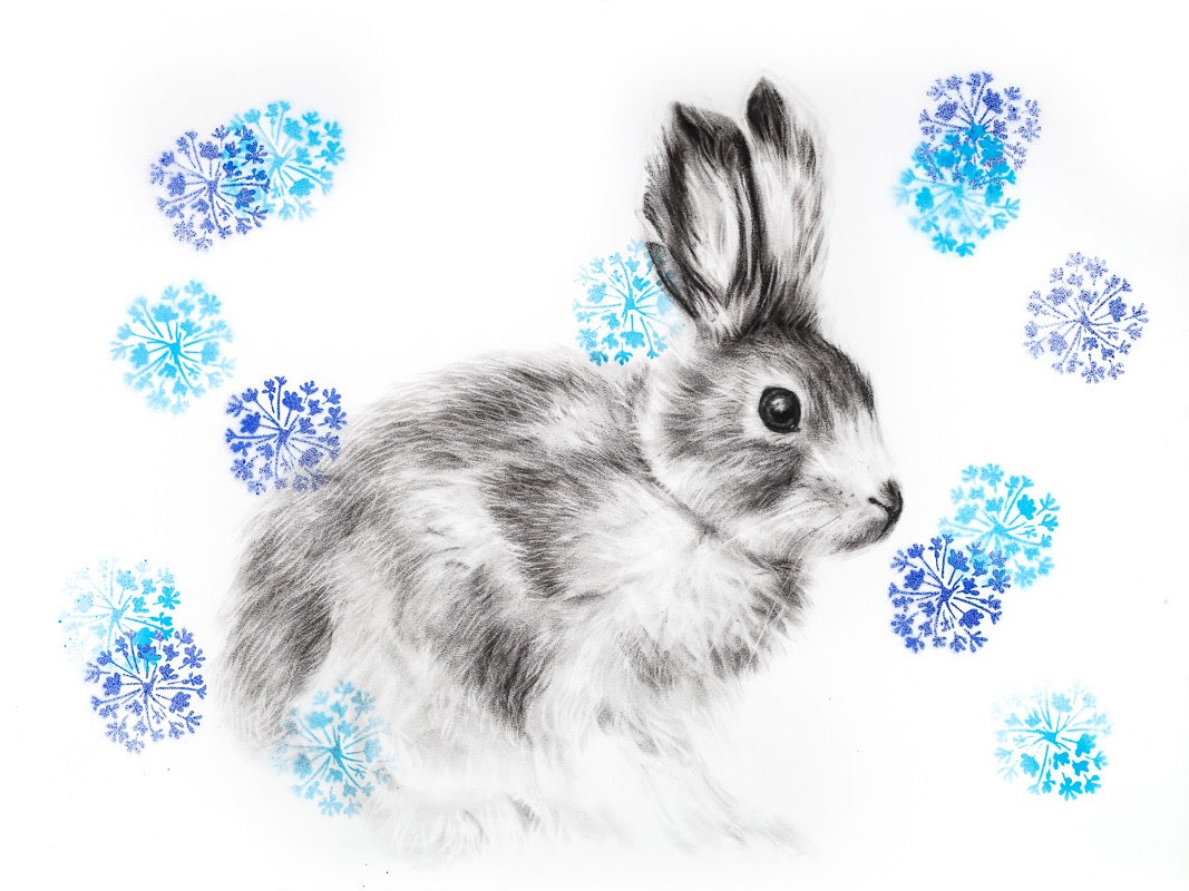 SNOWSHOE HARE