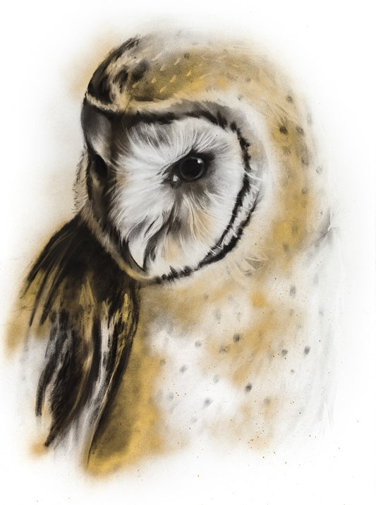 Original drawing: Charcoal portrait of barn owl, wall art, cottage decor.