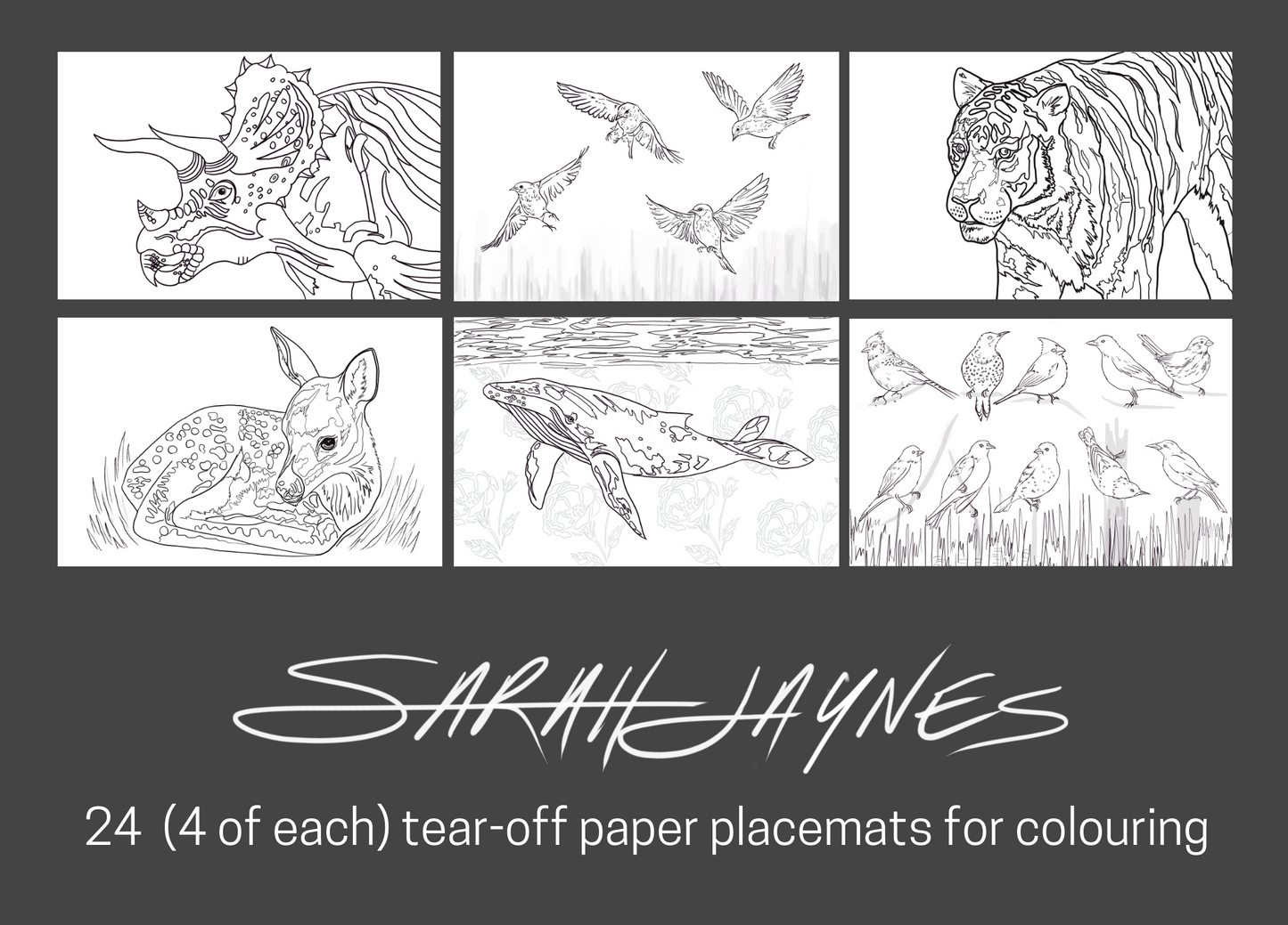 Sarah Jaynes Colouring Placemats with Markers