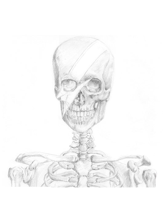 Original graphite drawing of David Bowie as a skeleton. Halloween themed art skull for home decor.