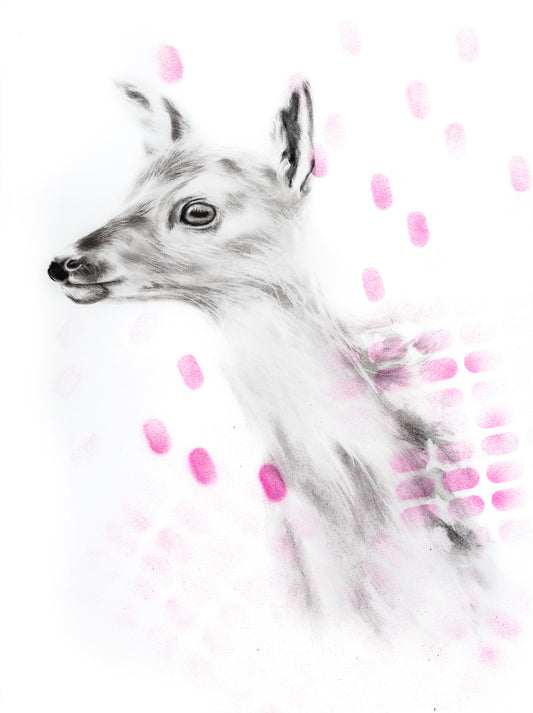 Fawn Pink