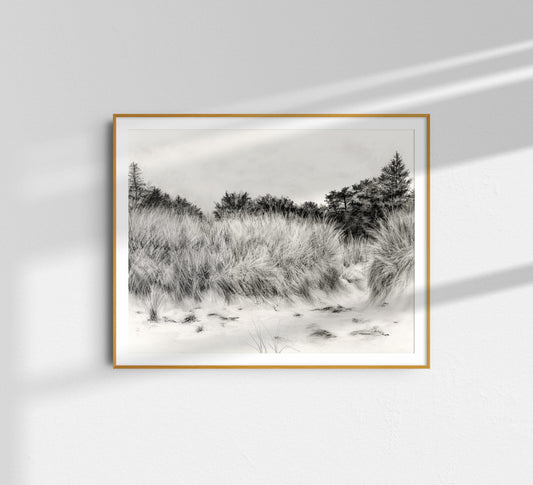 Original Drawing: Charcoal drawing of beach dunes in black and white. Classic coastal home decor.