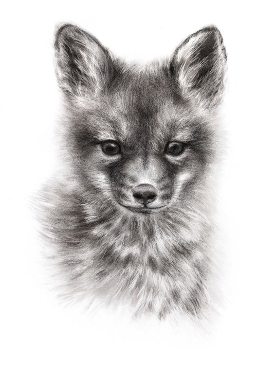 FOX CUB
