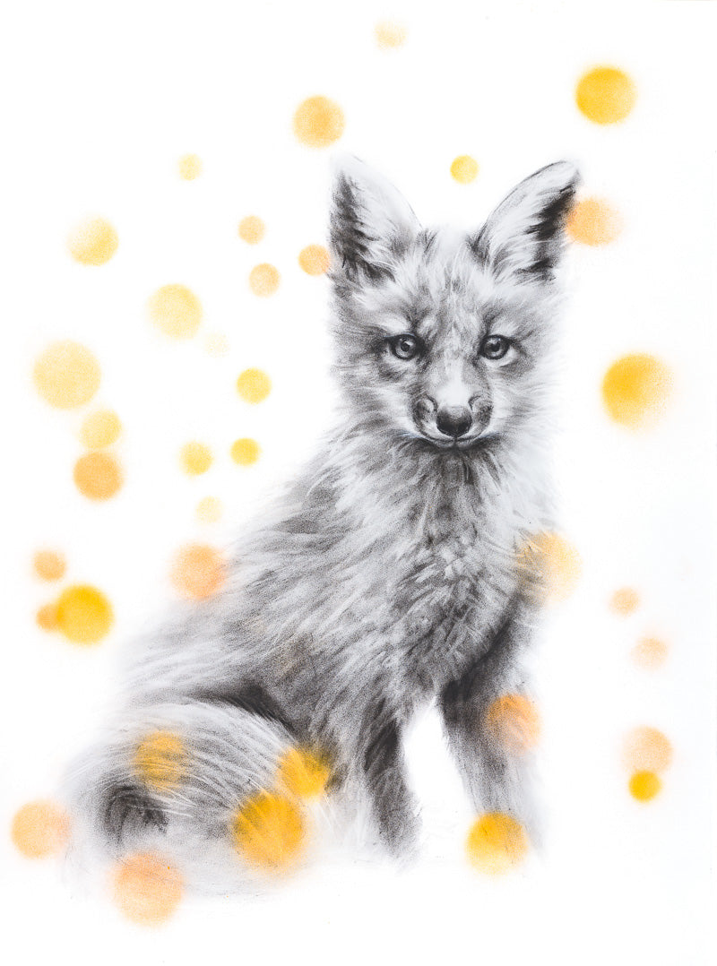 FOX WITH ORANGE