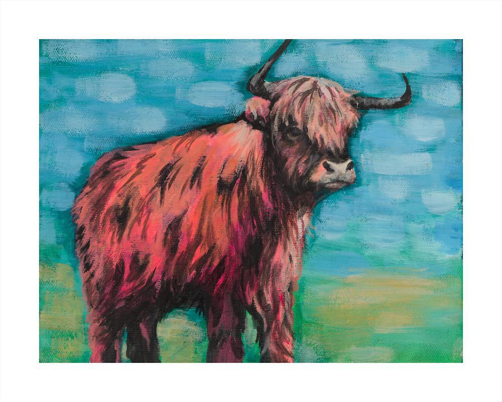 HIGHLAND COW
