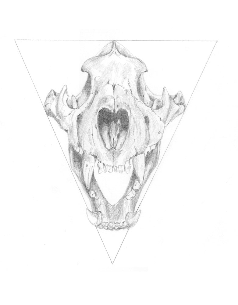 HYSTERIA | 12X12| GRAPHITE ON PAPER | Item Number 21-26D