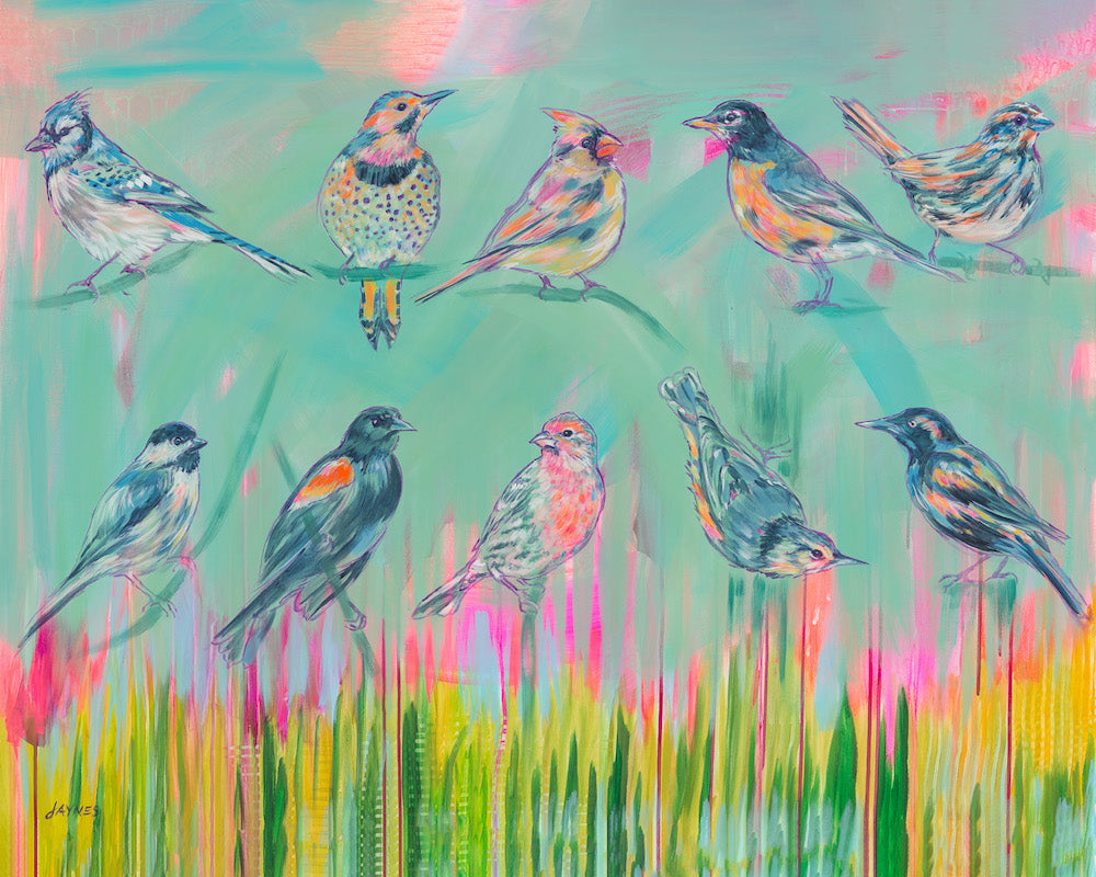 KING ST | BACKYARD BIRDS