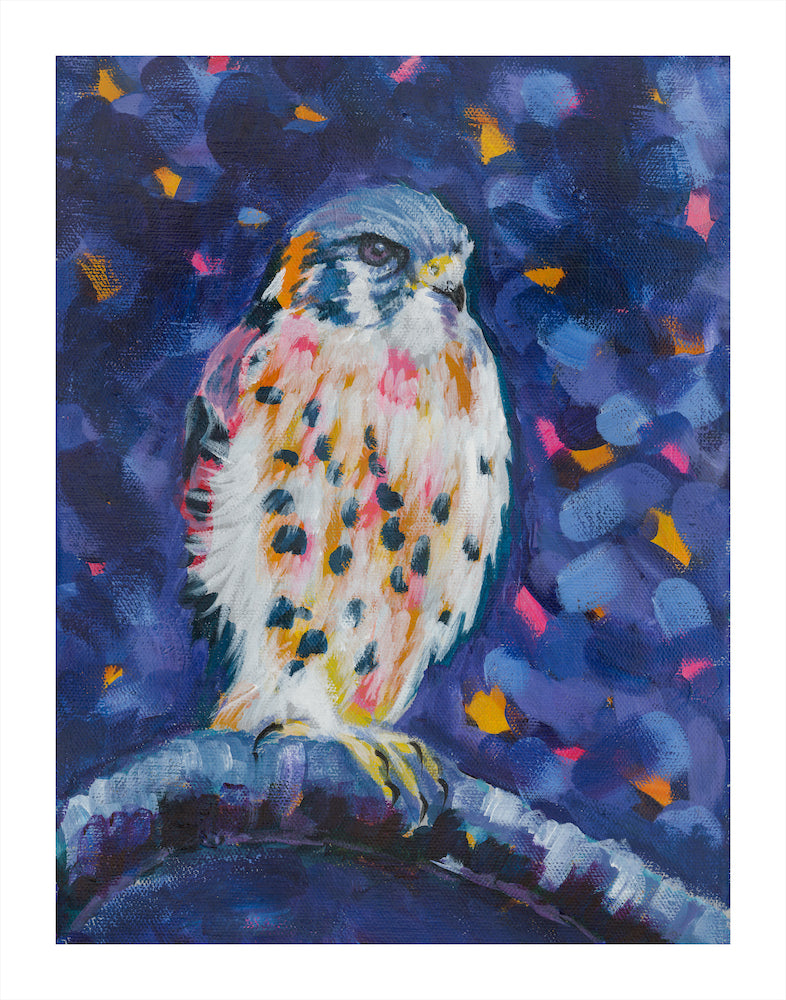 KESTREL