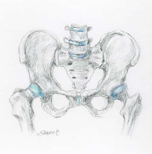 PELVIC STUDY | 6X6 | GRAPHITE AND PRISMACOLOR ON PAPER | Item Number 21-38D