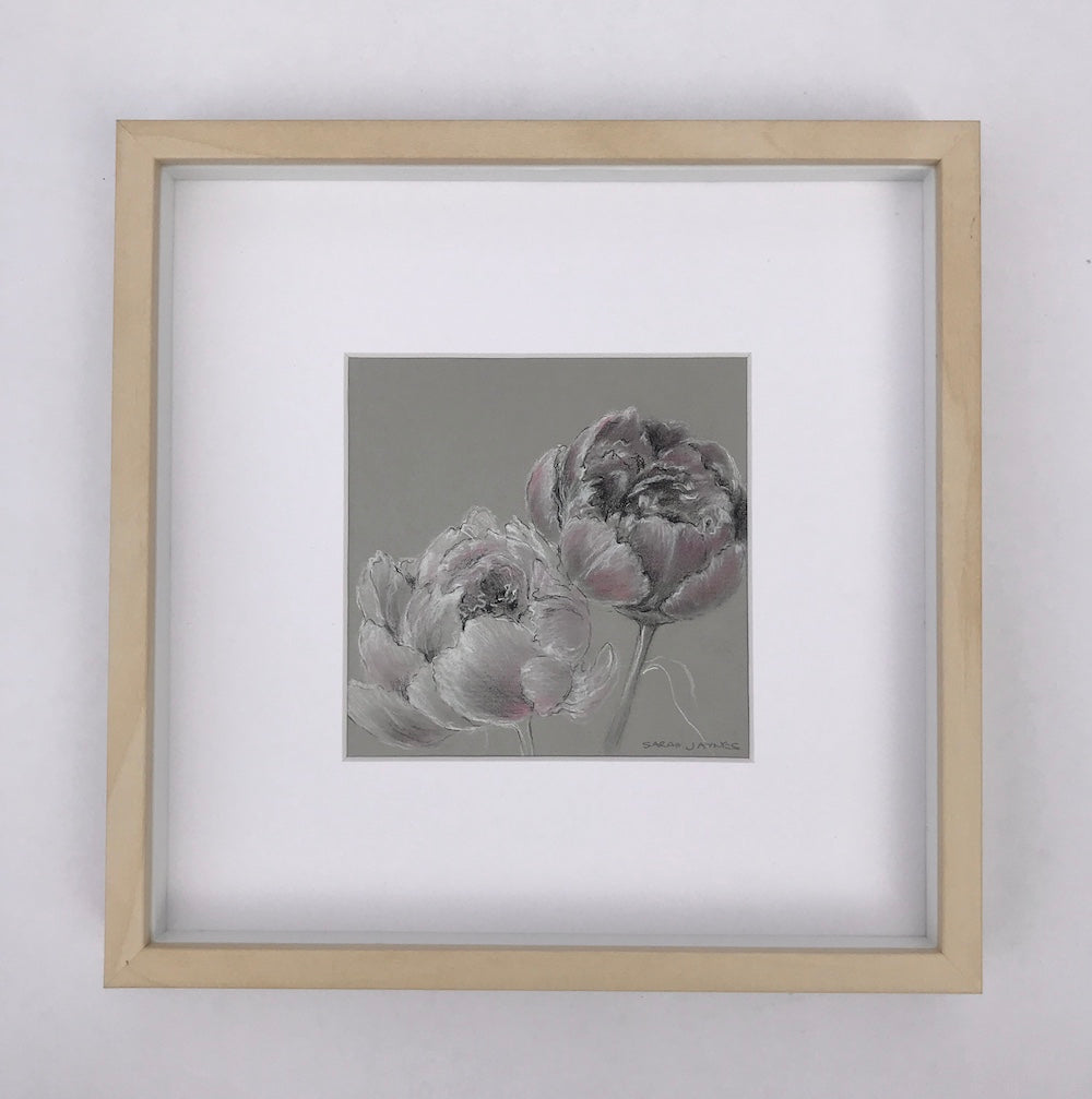 Peony Blooms