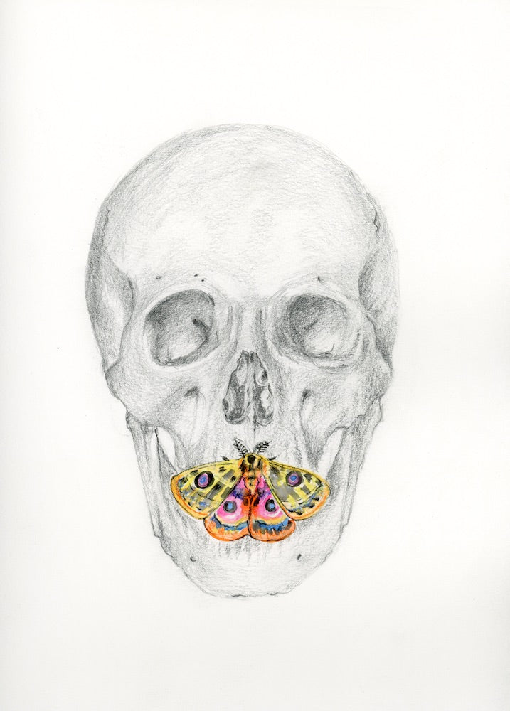 SILENCE 1 | 9X12 | GRAPHITE AND WATERCOLOUR ON PAPER | Item Number 21-18D