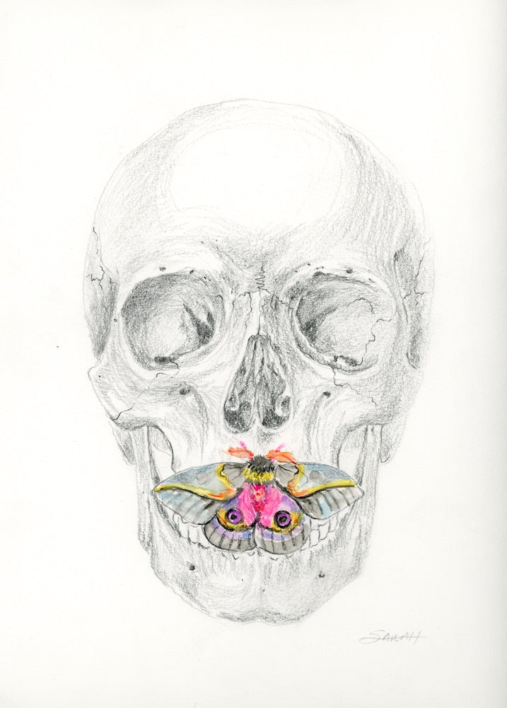 SILENCE 2 | 9X12 | GRAPHITE AND WATERCOLOUR ON PAPER | Item Number 21-19D