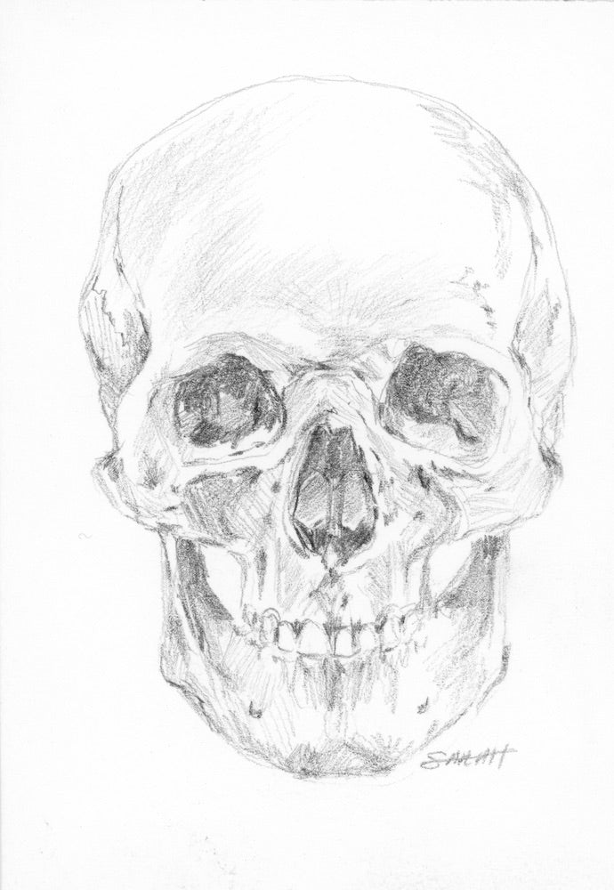 SKULL STUDY | 3.5X5.5| GRAPHITE ON PAPER | Item Number 21-22D