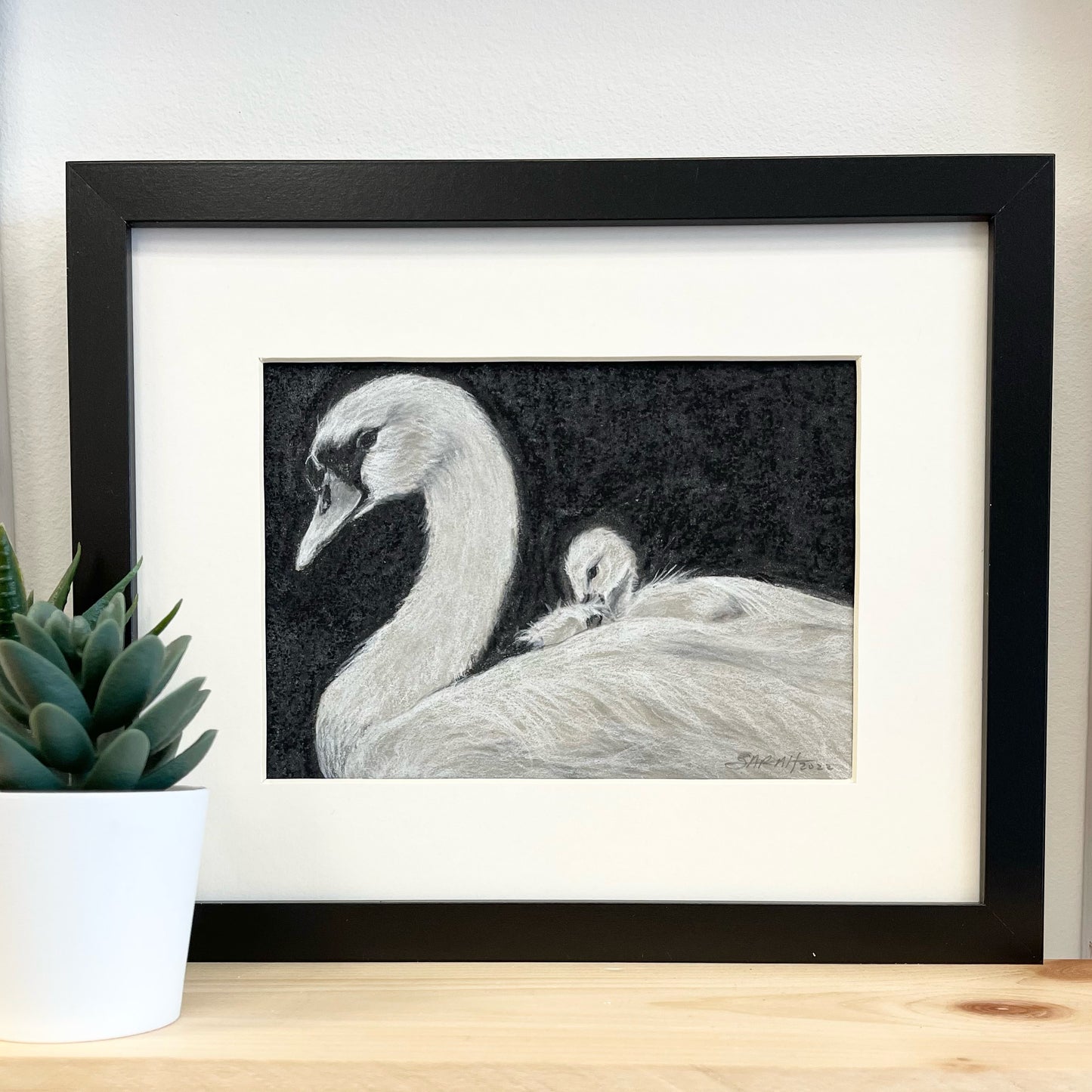 Swan and Signet | 5x7 | CHARCOAL AND CHALK ON PAPER | 22-46D