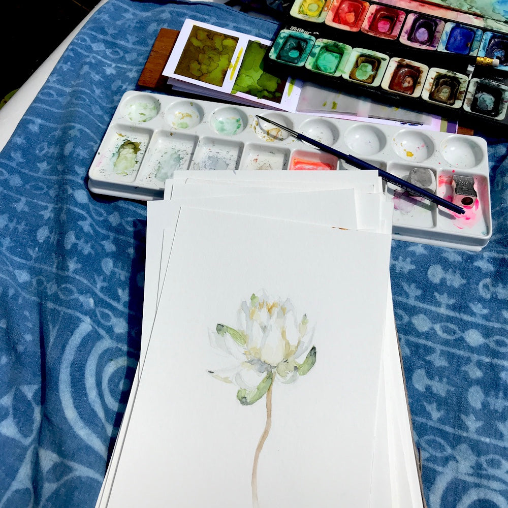WATER LILY 8