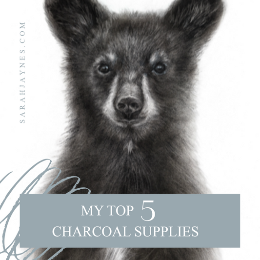 My 5 Essential Charcoal Supplies