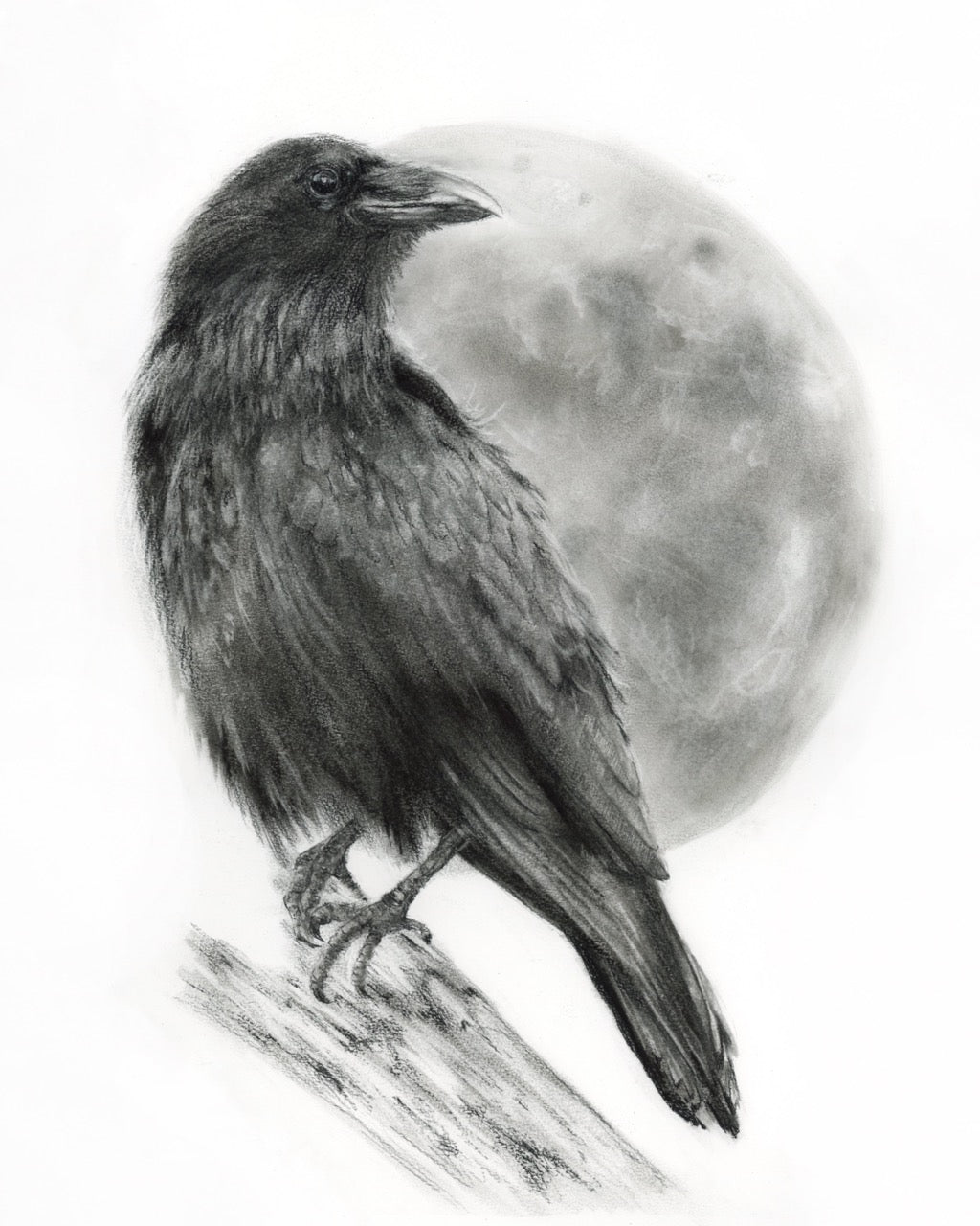PRINT REPRODUCTION OF "RAVEN AND MOON" CHARCOAL