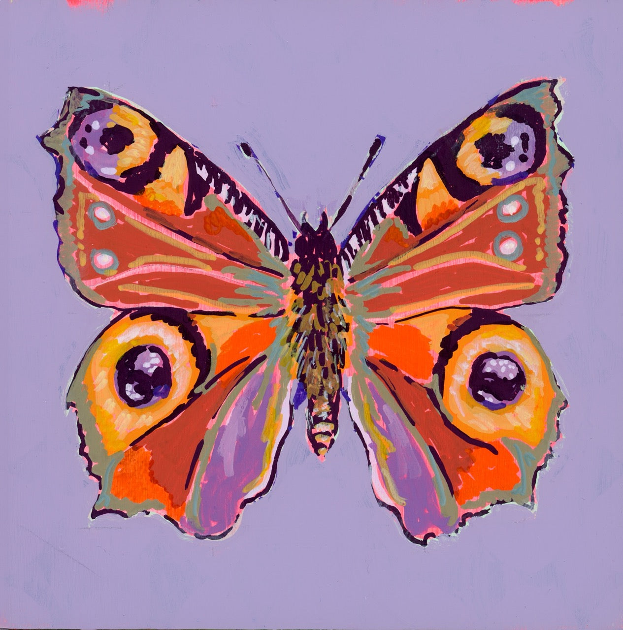 INACHIS IO | 6x6 | Acrylic on wood | 25-53