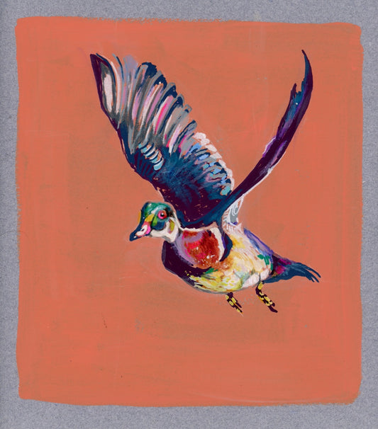 WOOD DUCK IN FLIGHT| 9x9 3/4 | ORIGINAL PAINTING ON PAPER | Item number 26-07