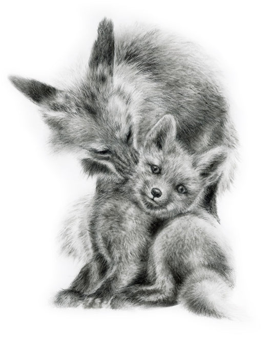 FOX AND KIT | 16x20 | ORIGINAL CHARCOAL ON PAPER | Item number 26-11