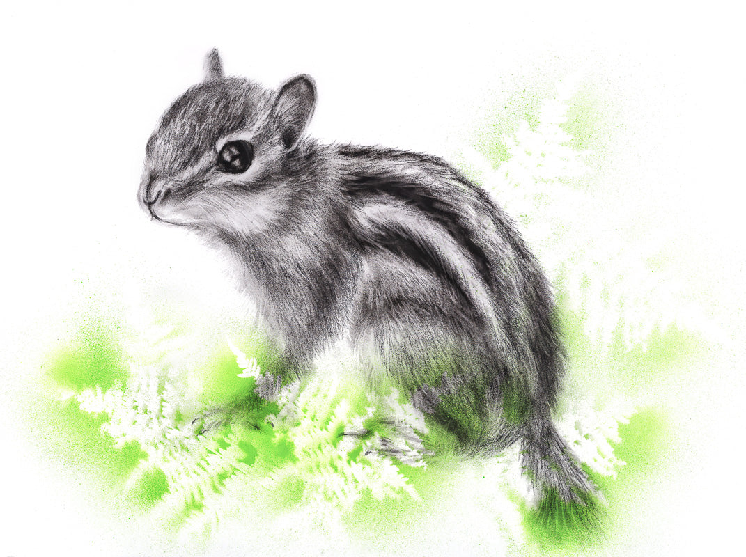PRINT REPRODUCTION OF "CHIPMUNK" CHARCOAL