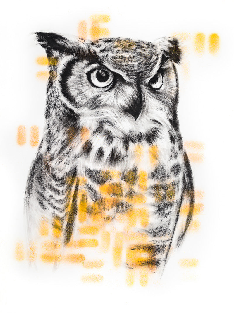 PRINT REPRODUCTION OF "GREAT HORNED OWL" CHARCOAL