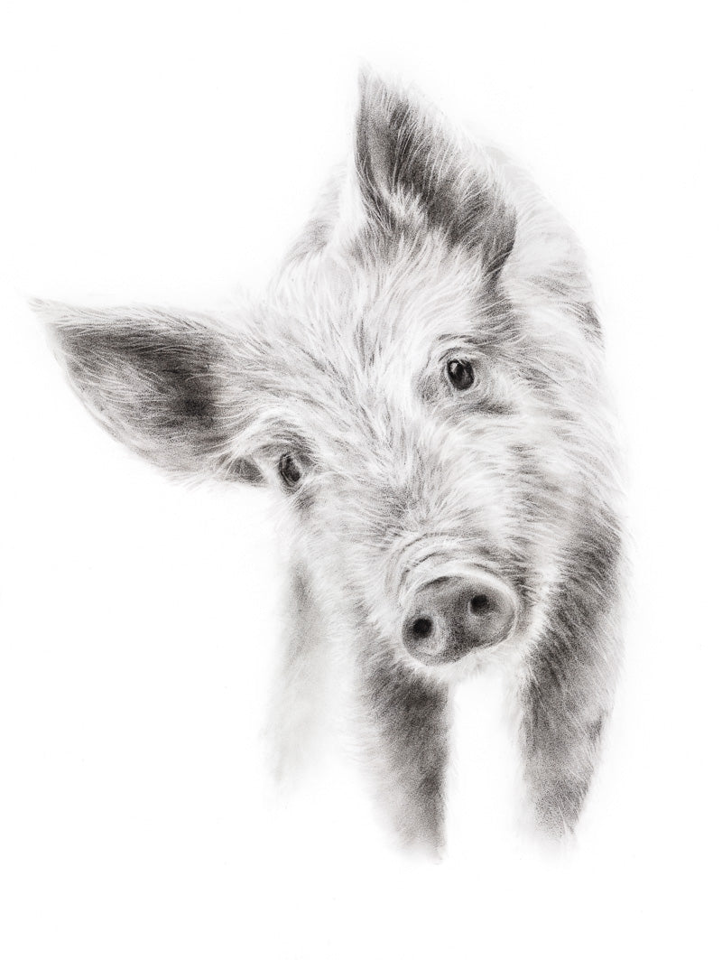 PRINT REPRODUCTION OF "PIGLET" CHARCOAL