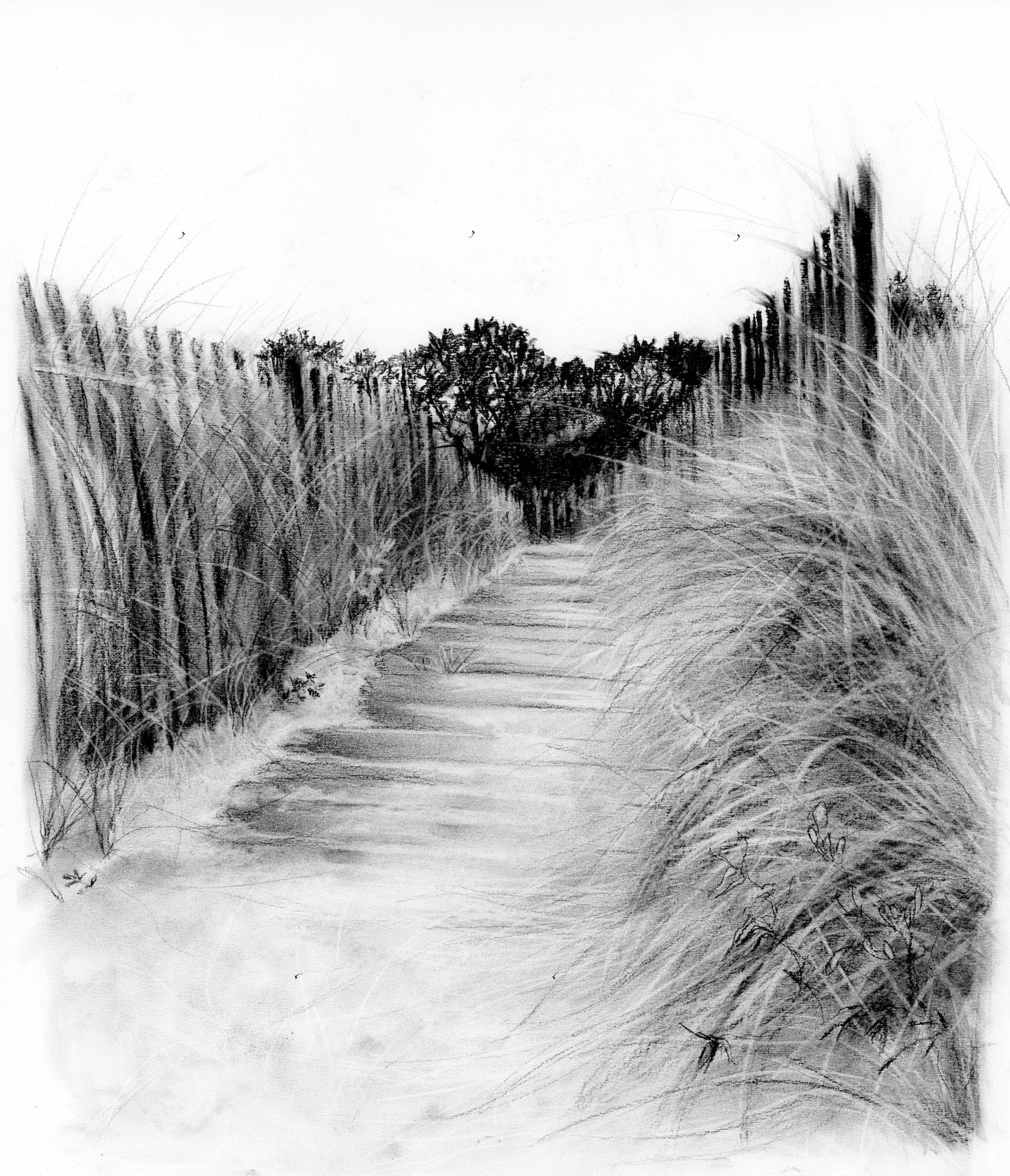 Casco Boardwalk | 16x20 | CHARCOAL AND CHALK ON PAPER | 22-56
