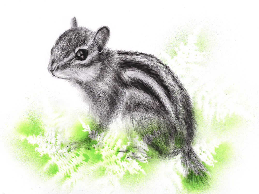 Original drawing: Charcoal chipmunk, wildlife home decor art.