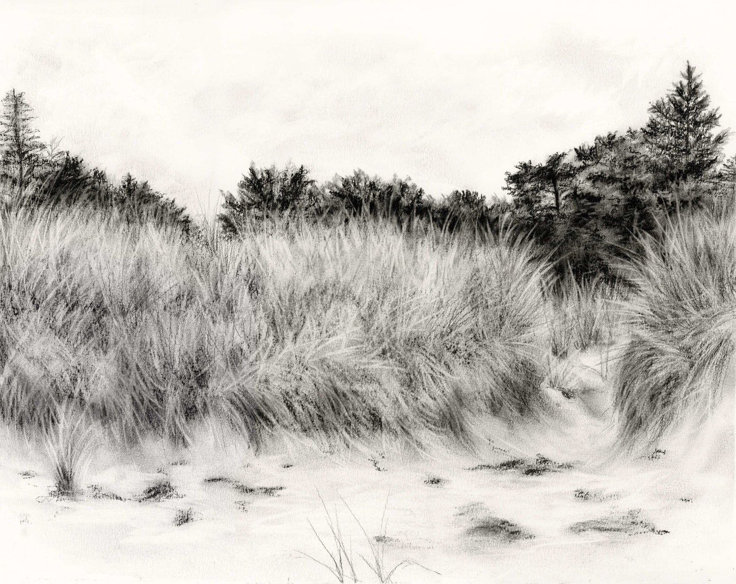 Original Drawing: Charcoal drawing of beach dunes in black and white. Classic coastal home decor. 