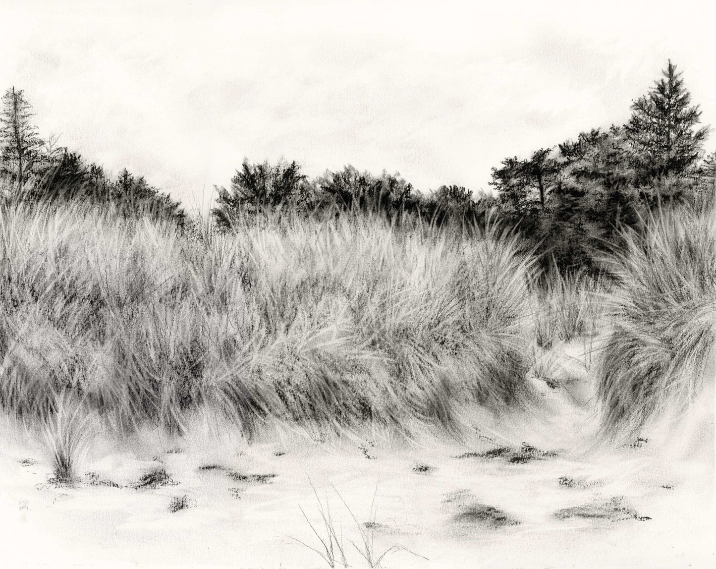 Dunes | 16x20 | CHARCOAL AND CHALK ON PAPER | 22-57
