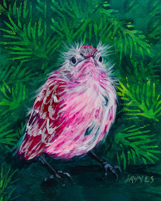 FLEDGELING FOR GRUMPY