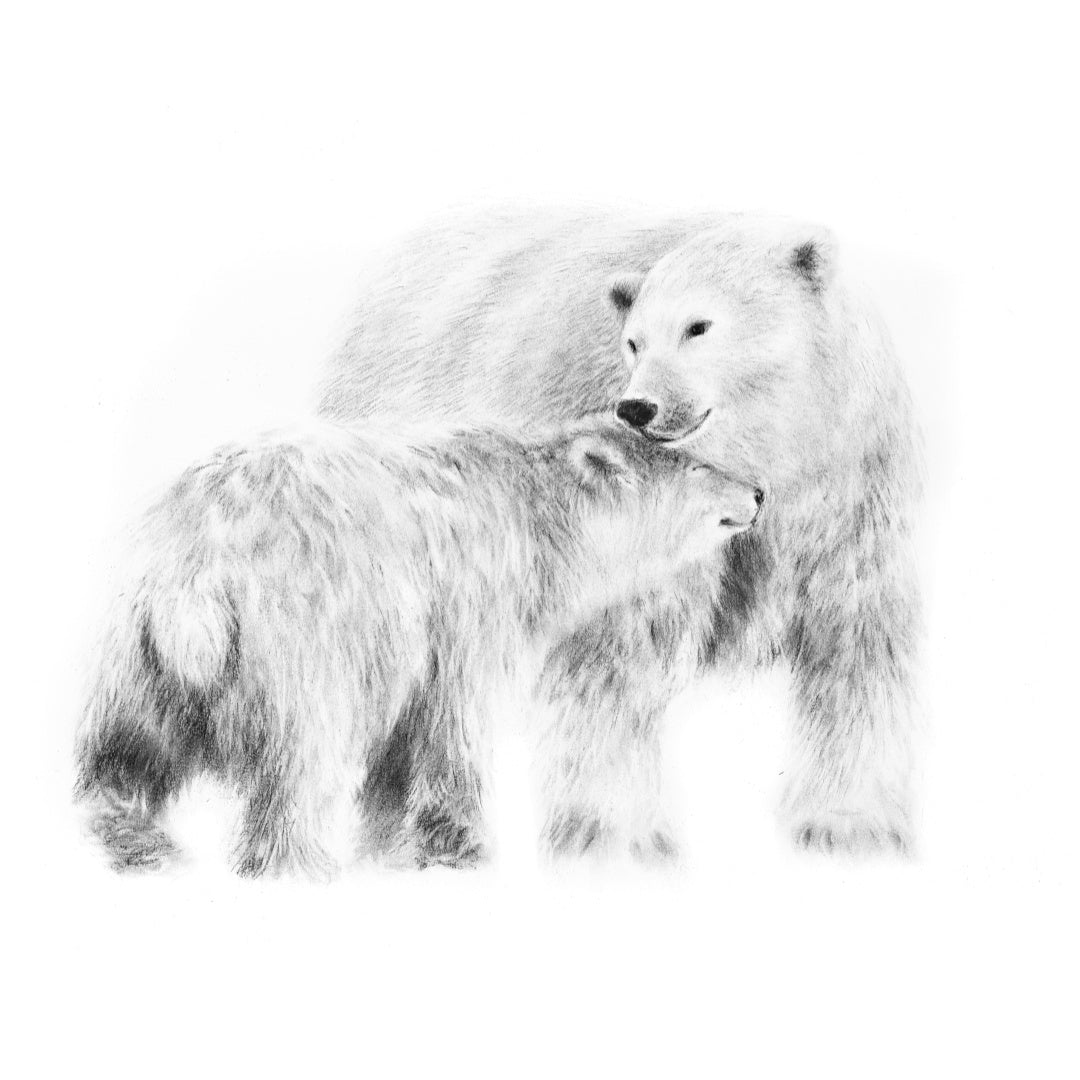 PRINT REPRODUCTION OF "POLAR BEAR AND CUB" CHARCOAL