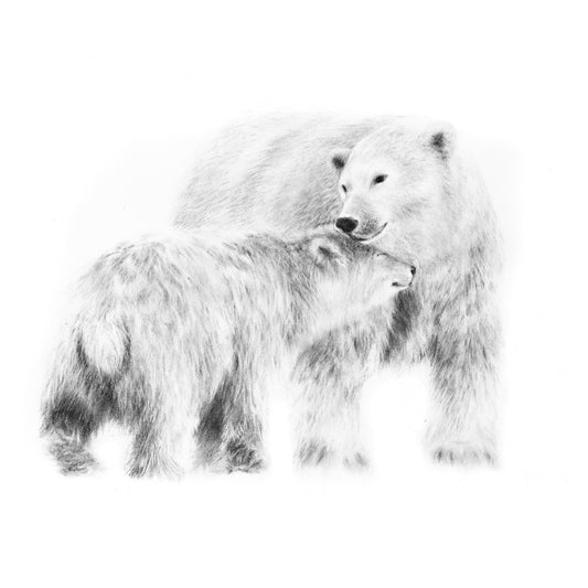 PRINT REPRODUCTION OF "POLAR BEAR AND CUB" CHARCOAL