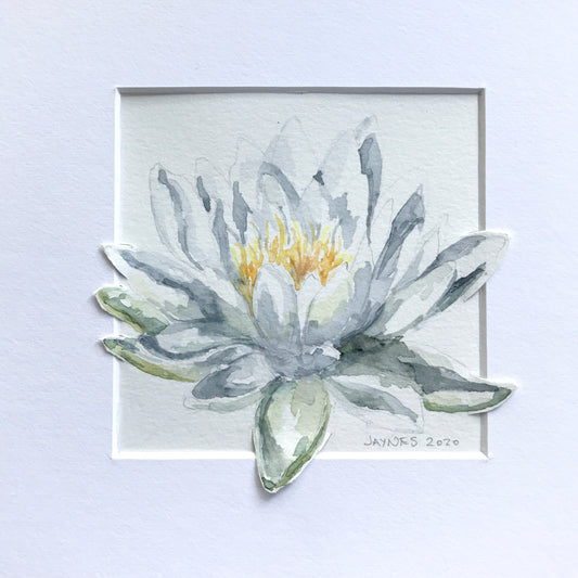 WATER LILY 11